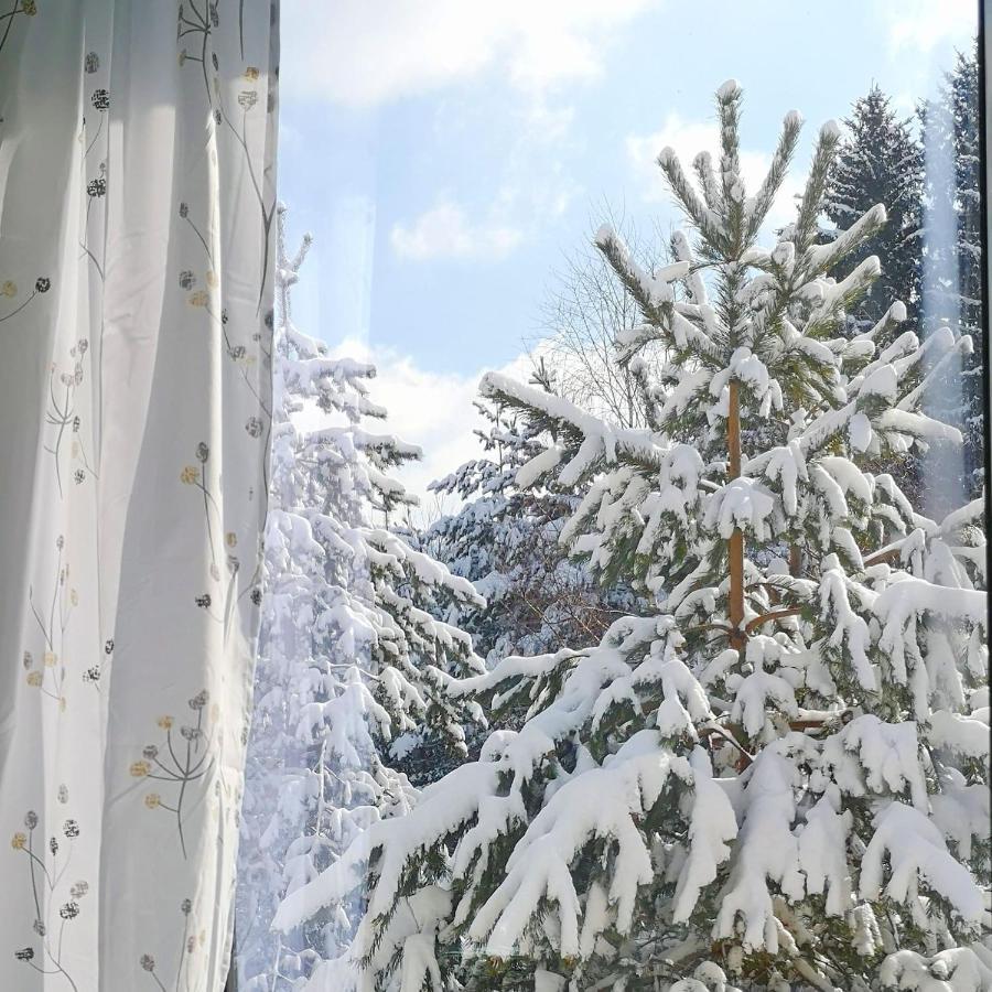 Hiona Apartment Kopaonik Eksteriør bilde