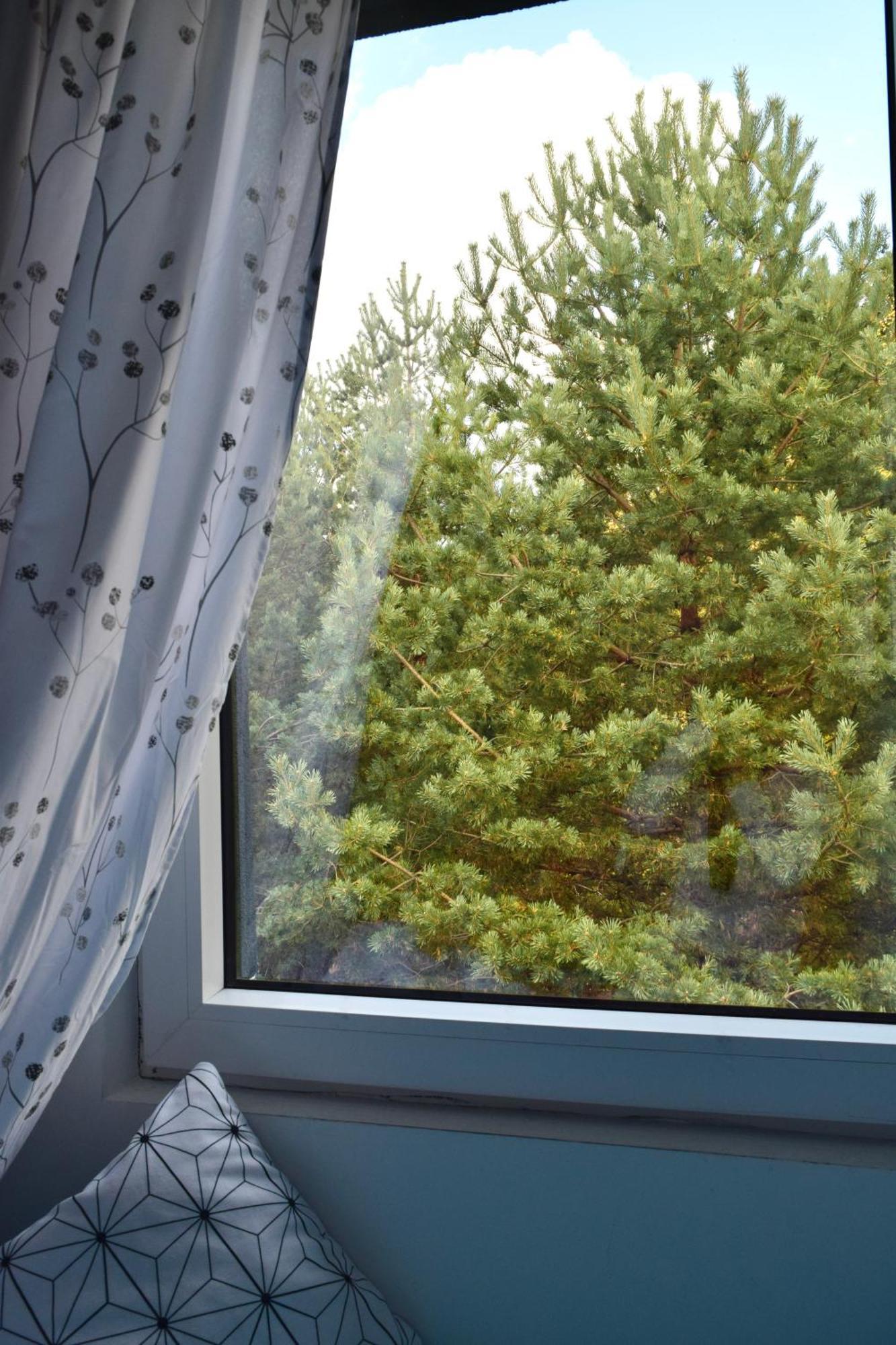 Hiona Apartment Kopaonik Eksteriør bilde
